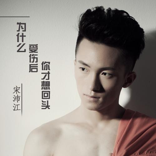 《为什么受伤后你才想回头》LRC歌词 《为什么受伤后你才想回头》(宋沛江)歌词555uuu下载