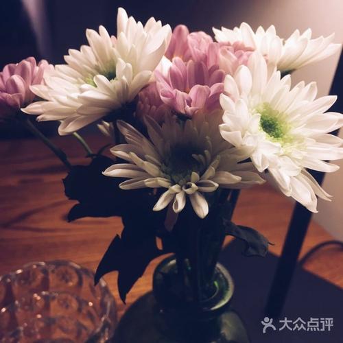 《我的花(demo)》(琪叔)歌词555uuu下载