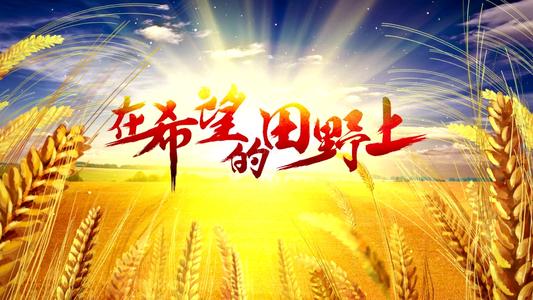 《在希望的田野上》LRC歌词 《在希望的田野上》(黑鸭子)歌词555uuu下载