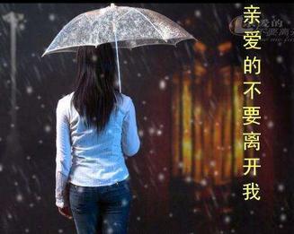 《不要就这样离开我》LRC歌词 《不要就这样离开我》(樊凡)歌词555uuu下载