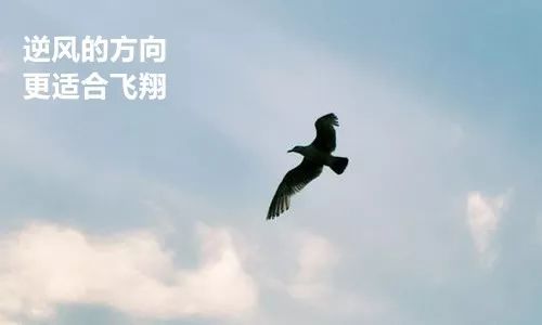 《逆风飞翔》(许庭轩)歌词555uuu下载