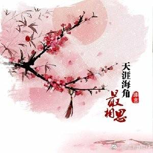 《天涯海角总相思》LRC歌词 《天涯海角总相思》(风语)歌词555uuu下载