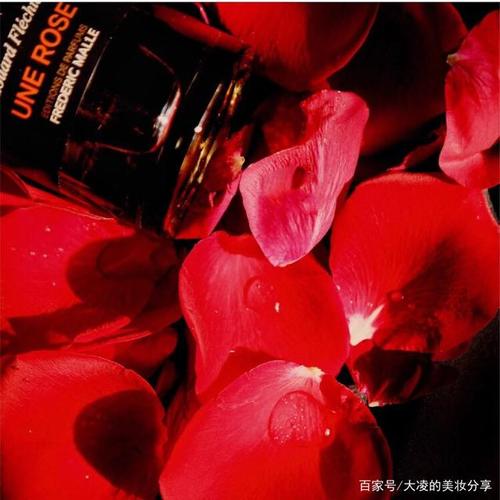 《不被打扰的玫瑰》LRC歌词 《不被打扰的玫瑰》(陈瑞)歌词555uuu下载