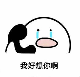 《我是真的好想你》LRC歌词 《我是真的好想你》(郭力)歌词555uuu下载