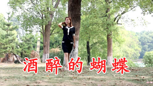 《酒醉的蝴蝶》LRC歌词 《酒醉的蝴蝶》(崔伟立,孙艺琪)歌词555uuu下载