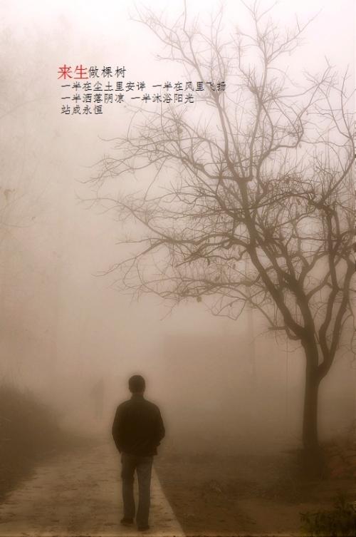 《来生》LRC歌词 《来生》(王婧)歌词555uuu下载