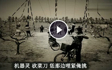 《机器铃,砍菜刀》LRC歌词 《机器铃,砍菜刀》(张卫)歌词555uuu下载