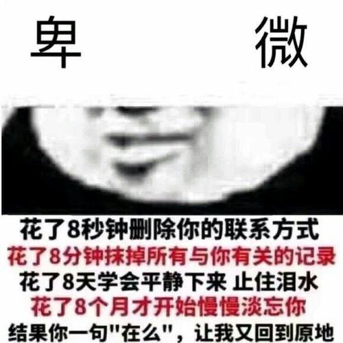 《难道爱你真的错了吗》(孟杨)歌词555uuu下载