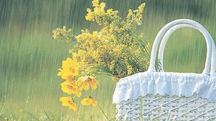 《多雨的季节》LRC歌词 《多雨的季节》(皓天)歌词555uuu下载