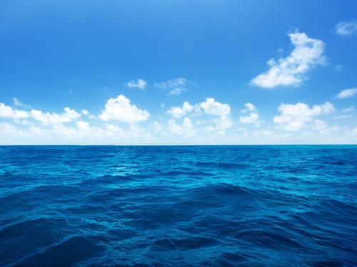 《大海》LRC歌词 《大海》(蔡幸娟)歌词555uuu下载