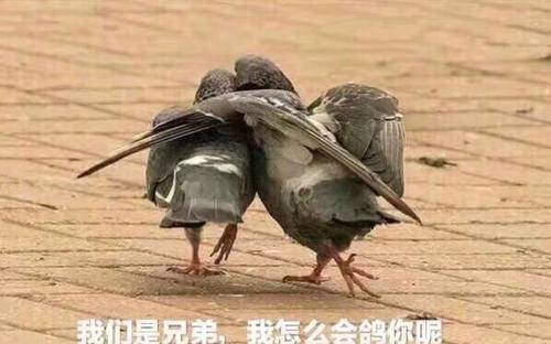《我们是兄弟》LRC歌词 《我们是兄弟》(宗义博)歌词555uuu下载