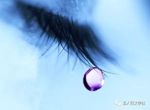 《诗人的眼泪》(张可儿)歌词555uuu下载