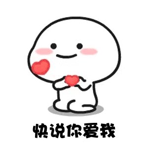 《说你爱我》LRC歌词 《说你爱我》(黑鸭子组合)歌词555uuu下载
