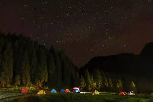 《森林里的星星》LRC歌词 《森林里的星星》(武玥宸)歌词555uuu下载