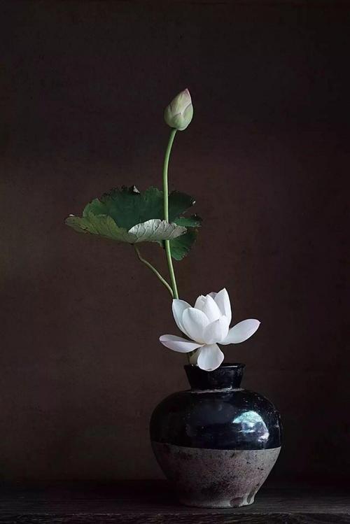 《禅花》LRC歌词 《禅花》(沈丹丹)歌词555uuu下载