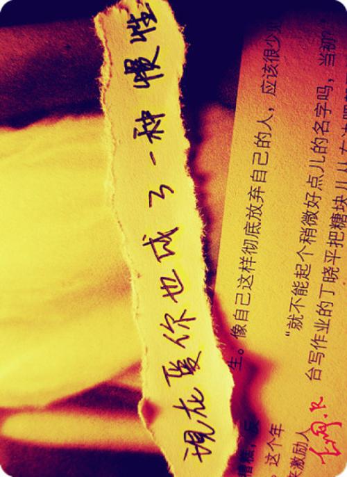 《爱你是一种习惯》LRC歌词 《爱你是一种习惯》(陈娟儿)歌词555uuu下载