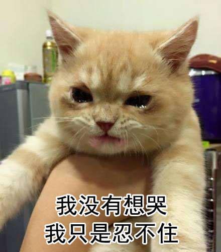 《忍不住流泪》LRC歌词 《忍不住流泪》(周子龙)歌词555uuu下载