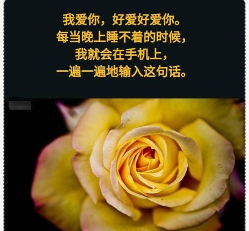 《爱你好疲惫》LRC歌词 《爱你好疲惫》(陈哲)歌词555uuu下载