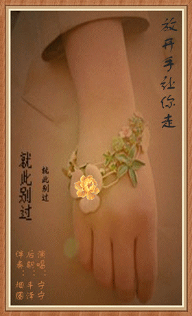 《放开手让你走》LRC歌词 《放开手让你走》(刘芳)歌词555uuu下载
