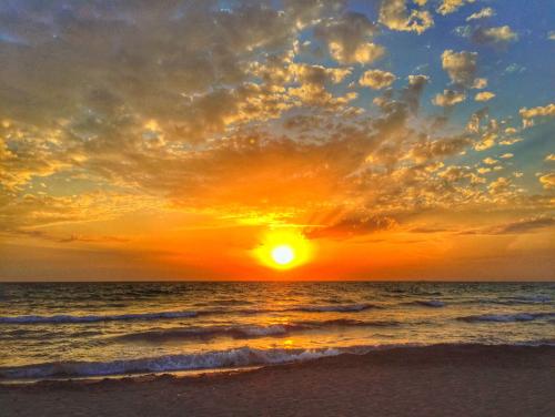 《夕阳海岸》LRC歌词 《夕阳海岸》(彩贝与海)歌词555uuu下载