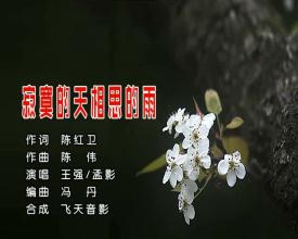 《寂寞的天 相思的雨》LRC歌词 《寂寞的天 相思的雨》(强歌,孟影)歌词555uuu下载