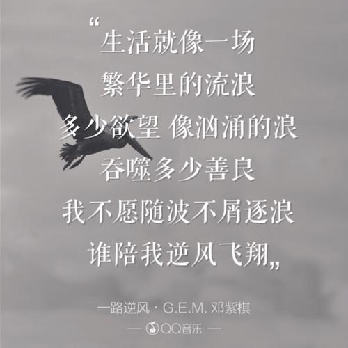 《一路逆风》(G.E.M.,邓紫棋)歌词555uuu下载