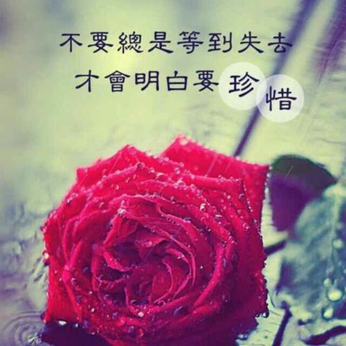 《红尘网恋》LRC歌词 《红尘网恋》(苏青山)歌词555uuu下载