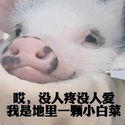 《从来都没有人爱》LRC歌词 《从来都没有人爱》(郎军)歌词555uuu下载