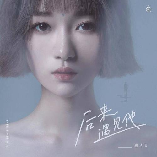 《后来遇见他》LRC歌词 《后来遇见他》(胡66)歌词555uuu下载
