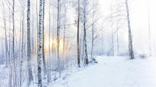 《殇雪》(暴林)歌词555uuu下载