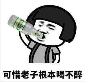 《我不想再醉》LRC歌词 《我不想再醉》(刘爽)歌词555uuu下载