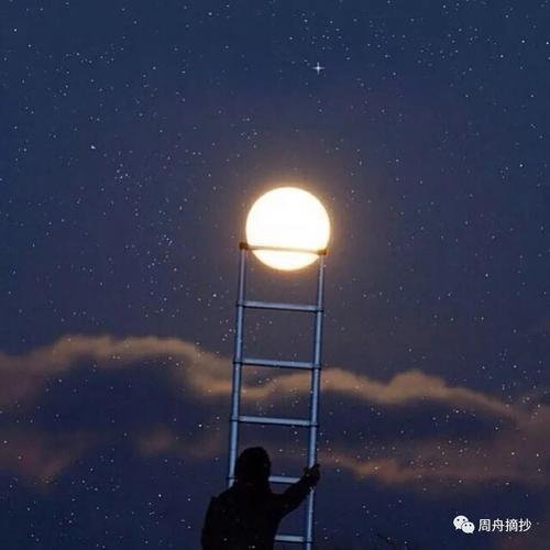 《你是星光你是月亮》(白玛多吉)歌词555uuu下载