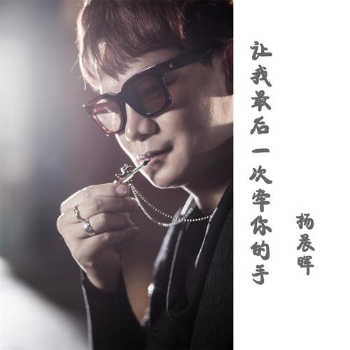 《让我最后一次牵你的手》LRC歌词 《让我最后一次牵你的手》(杨晨晖)歌词555uuu下载