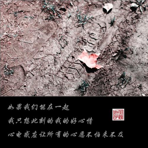 《如果能在一起》LRC歌词 《如果能在一起》(梁静茹)歌词555uuu下载