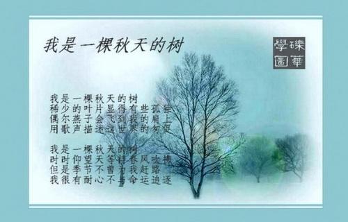 《我是一棵秋天的树》(林安咛)歌词555uuu下载