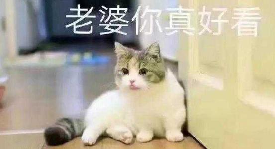 《老婆你最好》LRC歌词 《老婆你最好》(杨浩龙)歌词555uuu下载