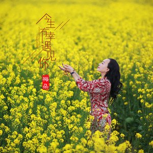 《今生有幸遇见你》LRC歌词 《今生有幸遇见你》(梅朵)歌词555uuu下载