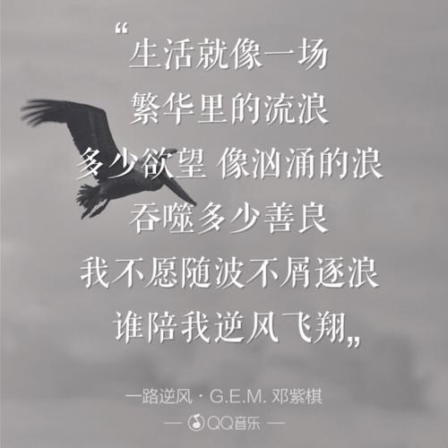 《一路逆风》LRC歌词 《一路逆风》(陈都灵)歌词555uuu下载