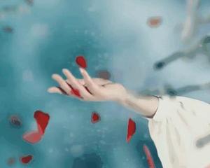 《一曲红尘一滴泪》LRC歌词 《一曲红尘一滴泪》(孟杨)歌词555uuu下载