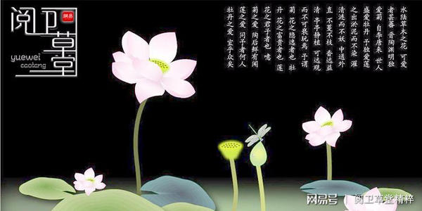 《我愿做你红尘路途一朵涟漪》LRC歌词 《我愿做你红尘路途一朵涟漪》(雨柔)歌词555uuu下载