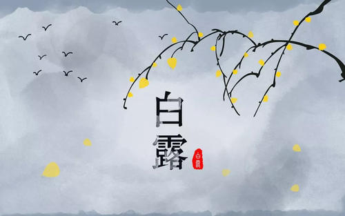 《白露》LRC歌词 《白露》(孙露)歌词555uuu下载