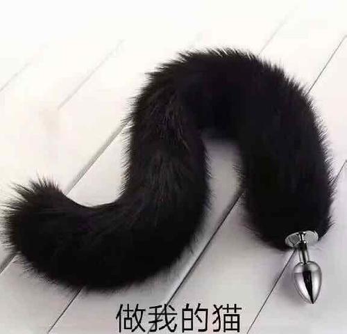 《做我的猫》LRC歌词 《做我的猫》(满舒克)歌词555uuu下载