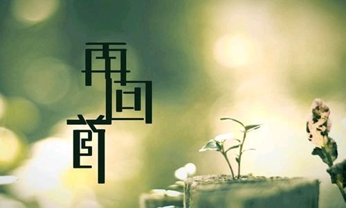 《再回首》LRC歌词 《再回首》(林霞)歌词555uuu下载