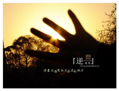 《爱一直都在》LRC歌词 《爱一直都在》(金虎)歌词555uuu下载