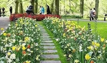《花间走》LRC歌词 《花间走》(孙华子剑&南铃子)歌词555uuu下载