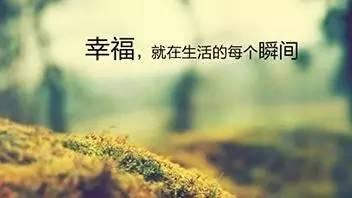 《幸福的开关》LRC歌词 《幸福的开关》(周迅)歌词555uuu下载