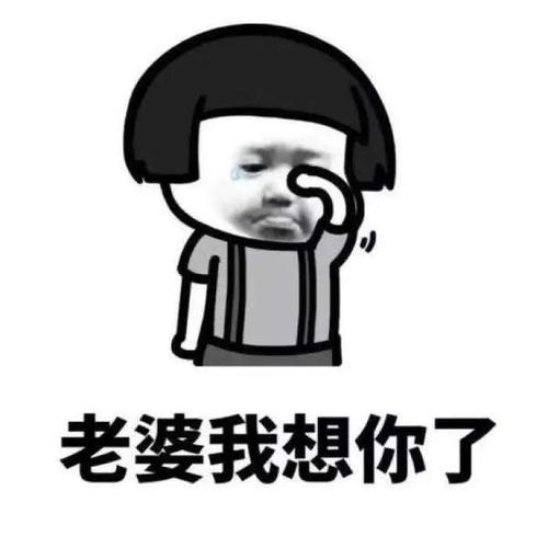 《不该爱的你》LRC歌词 《不该爱的你》(廖智毅)歌词555uuu下载