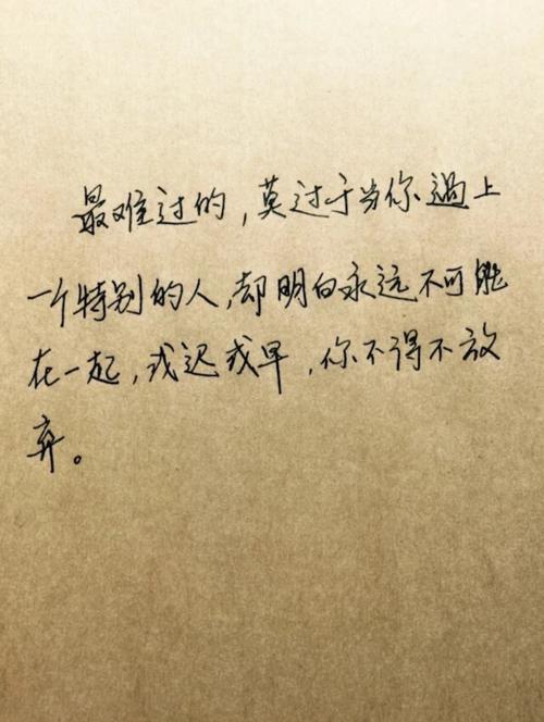 《一个人的永远》LRC歌词 《一个人的永远》(天籁天)歌词555uuu下载