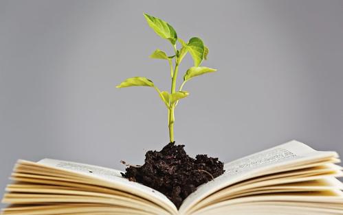 《静待花开》LRC歌词 《静待花开》(任静)歌词555uuu下载