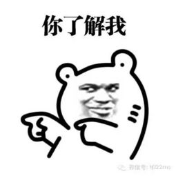 《我了解你》LRC歌词 《我了解你》(邓丽君)歌词555uuu下载